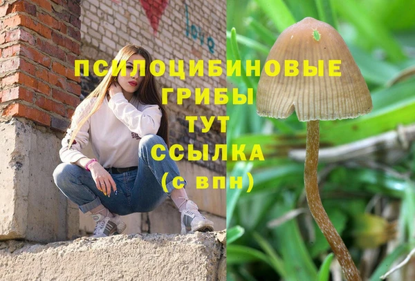 винт Зеленодольск