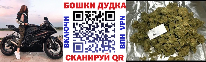 Купить закладки  Отрадное  Бошки Шишки марихуана 